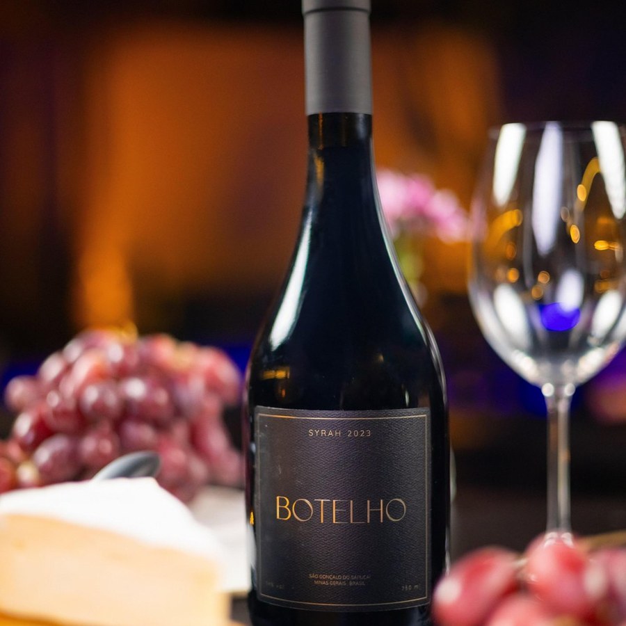 Garrafa de Botelho Syrah 2023 com taça, uvas e queijos